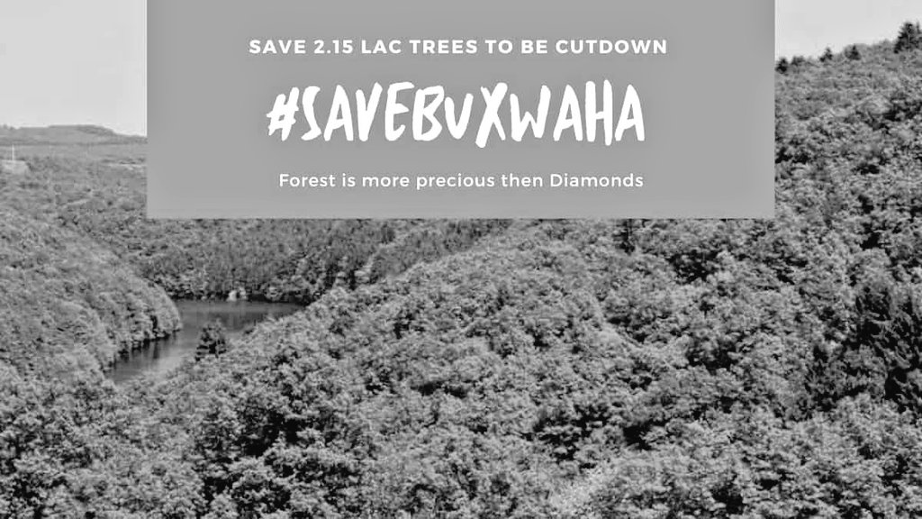 We can't breath diamonds . If this pandemic also can't teach us the importance of health and environment then SHAME ON US AS A SPECIES . When will we learn the value of REAL things

#savebuxwahaforest
#saveforests 
#savenature 
#savetheplanet