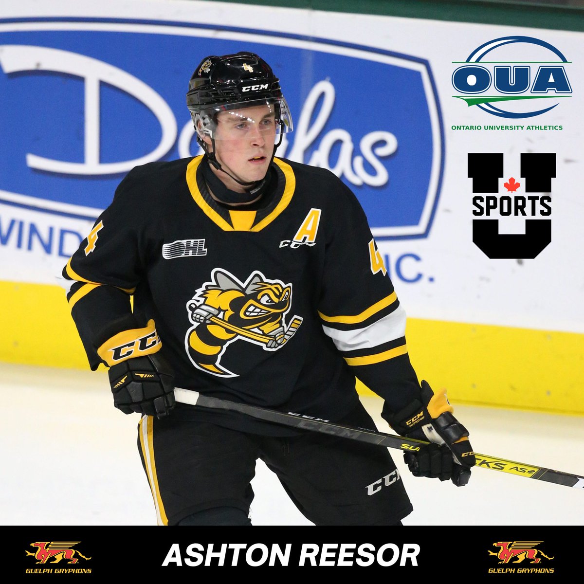 gryphonsmhky's tweet photo. 2022-2023 RECRUIT ANNOUNCEMENT: We are very excited to welcome former @StingHockey and @Storm_City Defenceman, Ashton Reesor to our Gryphon Hockey Family! #Culturebeatsstrategy https://t.co/vbeeM07Zd4