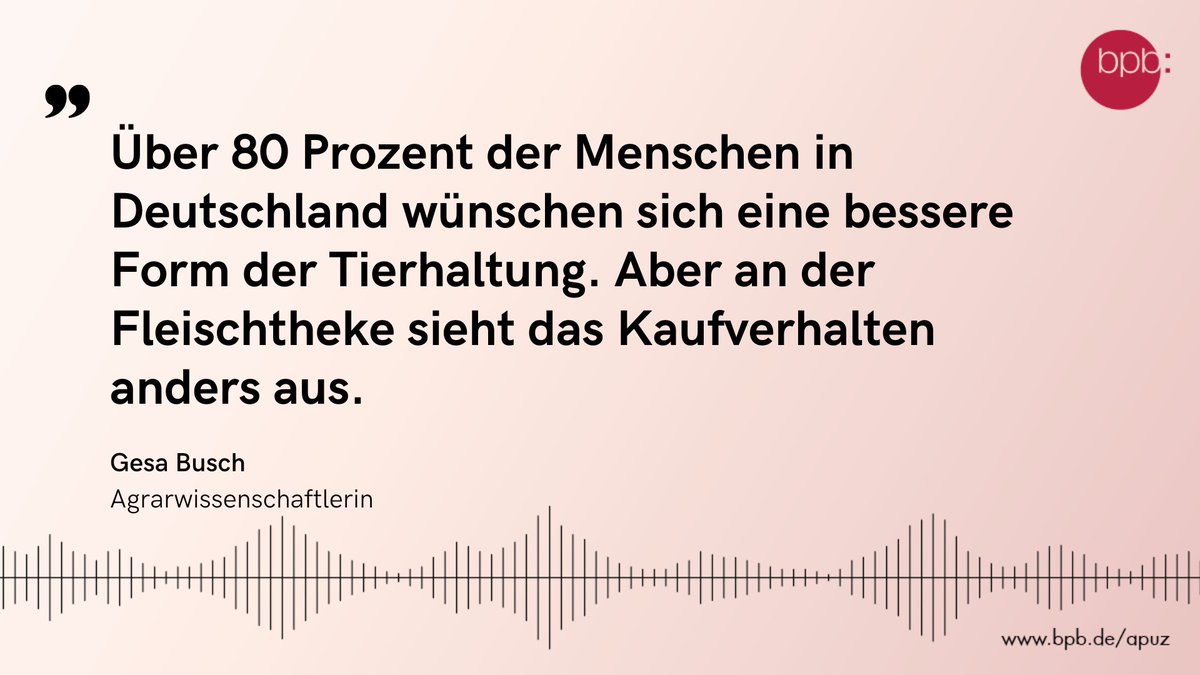 APuZ_bpb's tweet photo. Nun sag’ wie hast Du’s mit dem #Fleisch? In der neuen APuZ-#Podcast-Folge spricht @holgi mit Agrarwissenschaftlerin @BuschGesa, Kulturwissenschaftler Gunther Hirschfelder @GuHirsch und Philosoph Bernd Ladwig über Probleme und Zukunft der Fleischwirtschaft: https://t.co/bDu4fGDiH0 https://t.co/BKopwzfDkV