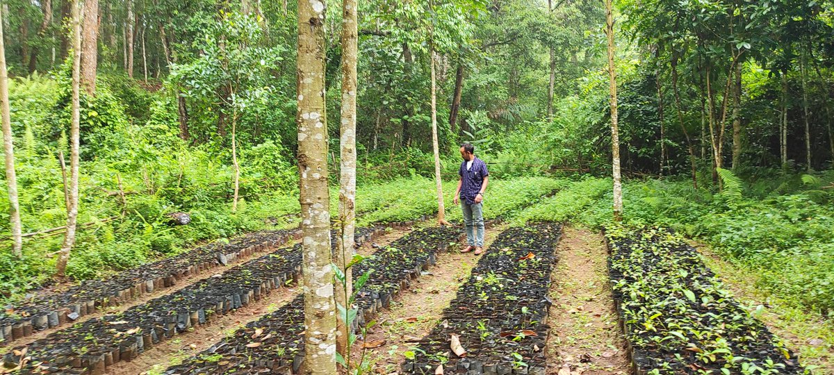 GTFmeghalaya's tweet photo. π#EKHD
One Treeπ³! One Life! - Between every two pines is a doorway to a new world.
Let's make everyday World Environment Day!ππ³
#PlantItsInTheRightWay #environment #Meghalaya #forest #planttrees #saveecosystem https://t.co/NI0E9jEk0f