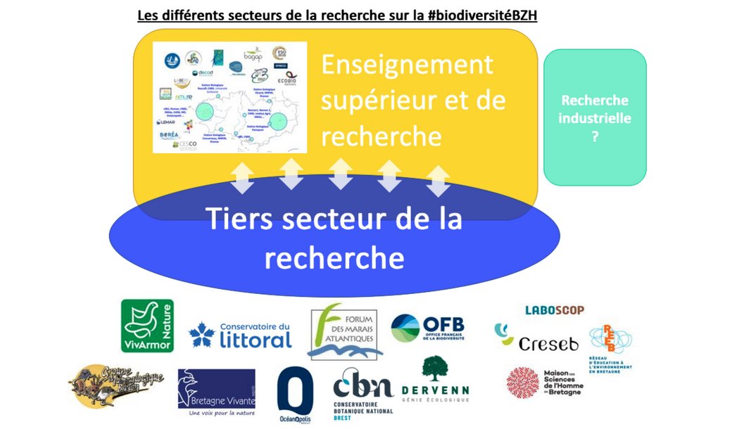 📣 I Need You again - Voici un 2nd article pour compléter l’écosystème de la recherche sur la biodiversité en BZH. Celui-ci s’intéresse aux acteurs du tiers-secteur de la recherche. A vos commentaires, pour compléter cette proposition, l’affiner ! 💬
linkedin.com/pulse/une-esqu…