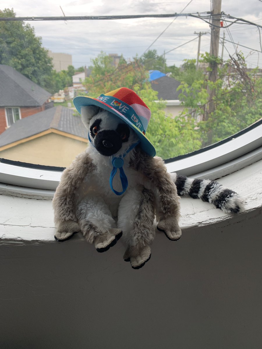 Here <a href="/AssumptionOCSB/">Assumption School</a> we celebrate #PRIDE all year round! #ocsbPride #WeAreAllWonderfullyMade 🏳️‍🌈 🏳️‍⚧️ ❤️🧡💛💚💙💜