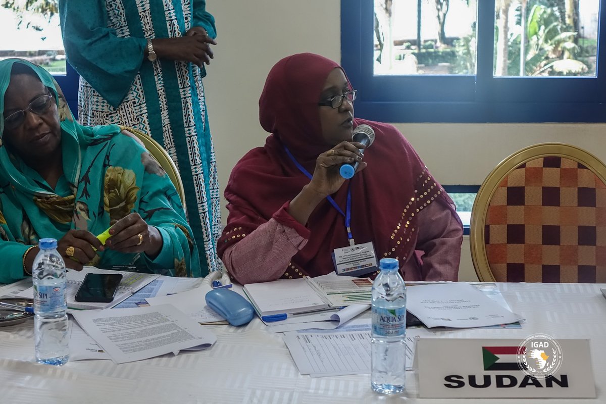 IGADLGP's tweet photo. ... ✔️ Reviewing the progress towards implementation of the decisions made at the 10th steering committee meeting.
✔️ Make decisions and give guidance to inform the implementation of the land Governance Programme BP for the period following the meeting. https://t.co/lPIripLZzB