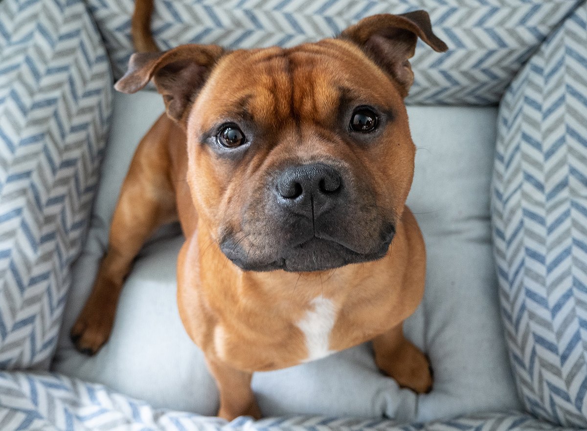 ProjectBluCo's tweet photo. Cosy and cute as a button ๐
#projectblu #protecttheenvironment https://t.co/soRfhhw63s