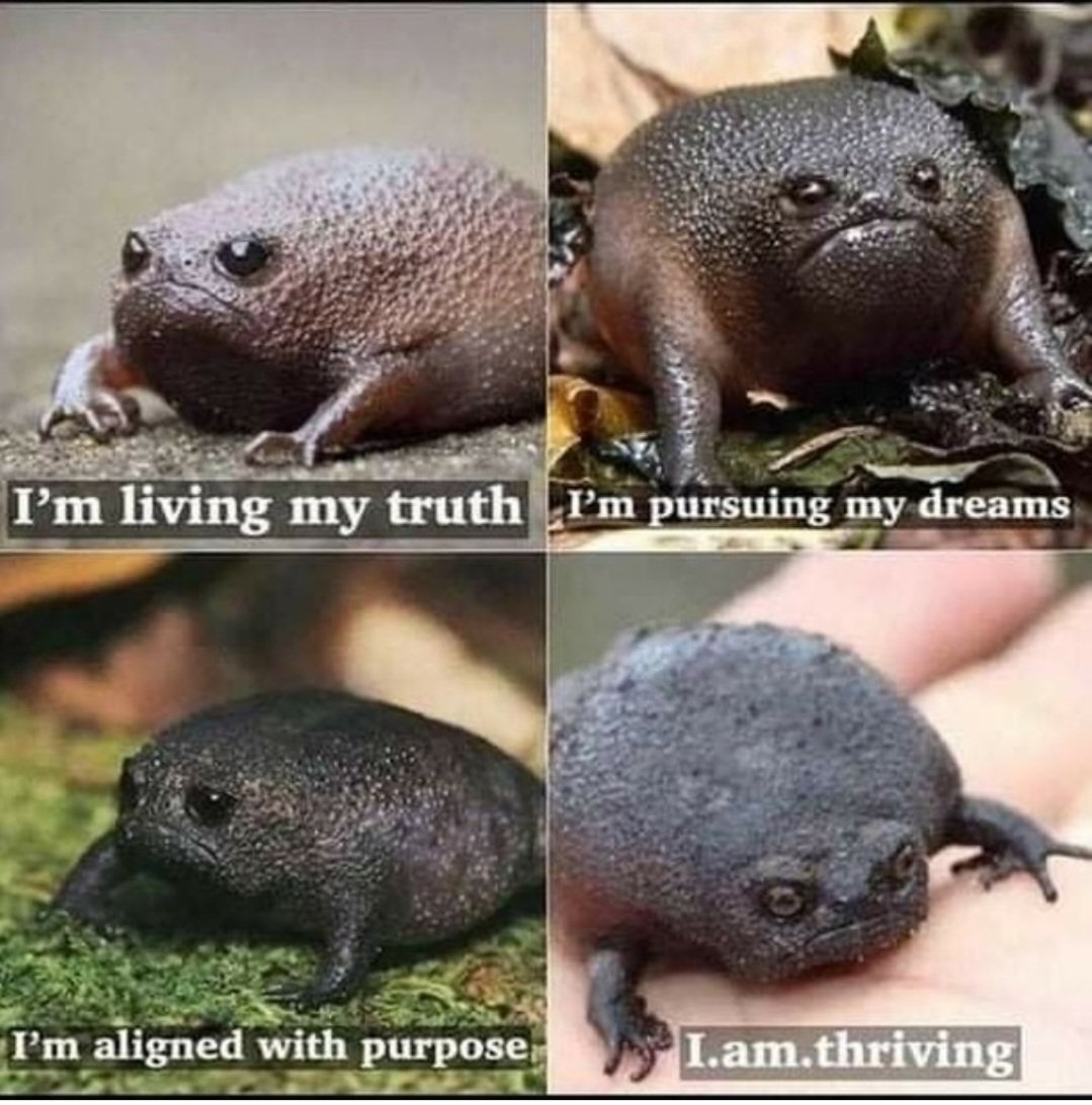 Dortmouse1's tweet photo. Last saved selfie is you on the outside, last saved meme is you on the inside. https://t.co/EqOQK2zfq3