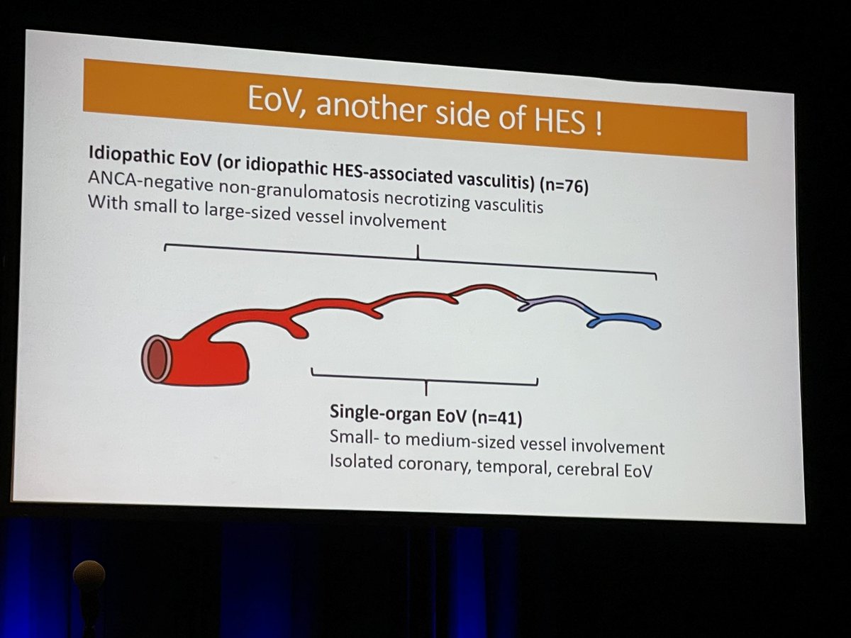 drlalonares's tweet photo. 👉🏼 What is Idiopathic Eosinophilic Vasculitis?

#EULAR2022 https://t.co/1M6lEw1Hui