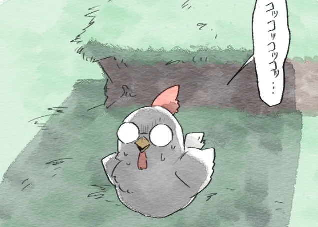 ガチのニワトリいた 