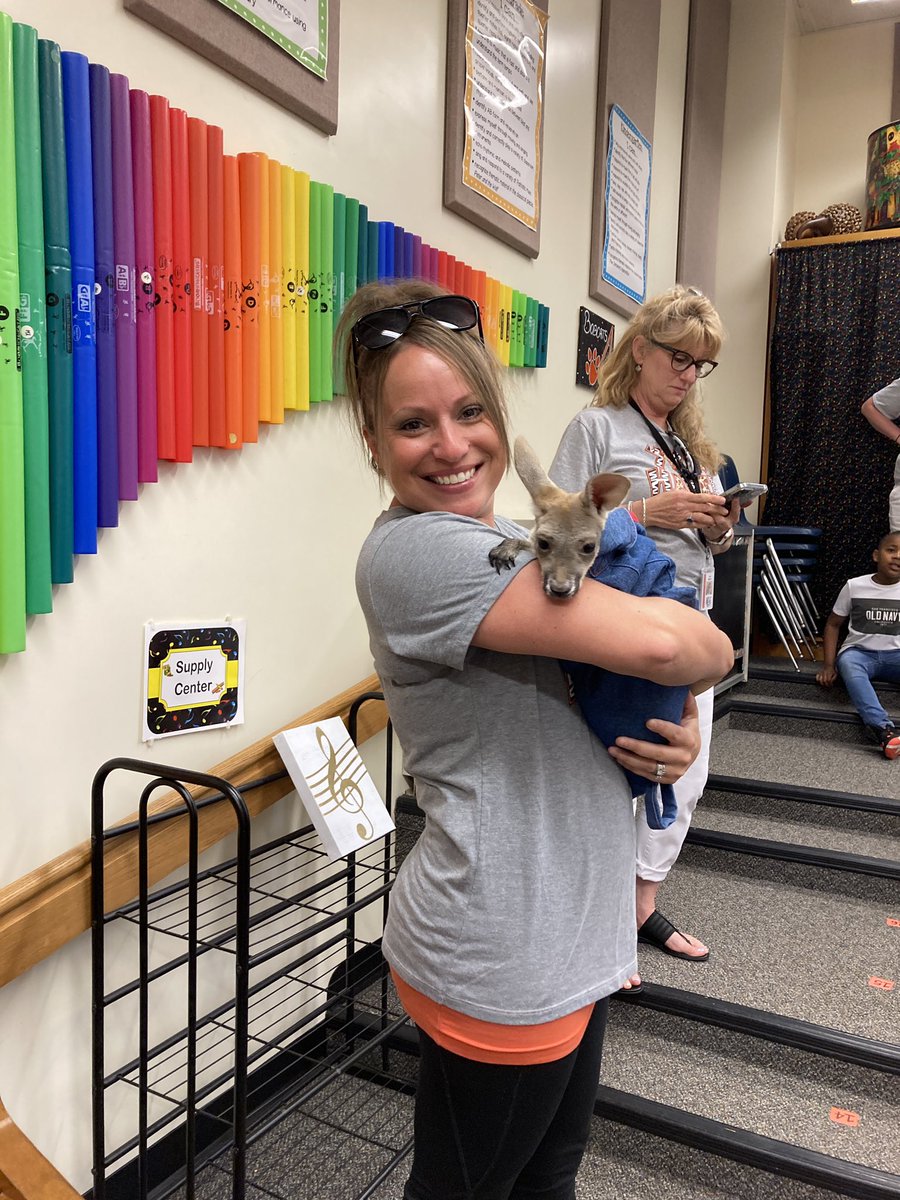 MKehlerLibrary's tweet photo. And now there is some serious cuteness happening at our reading celebration. Baby Joeys are adorable! 😍🥰 @YorkHavenElem @ArtWrighteous @NESD https://t.co/ojitoDkKdD