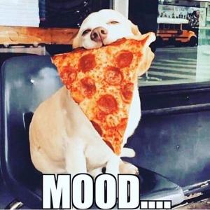 MamaRonis's tweet photo. I don’t know about you, but this is always my mood! 😎😜🙃

Mama Roni’s forever! 🍕👏🍕

https://t.co/mYCs3a3foP https://t.co/CQvZct8OJw