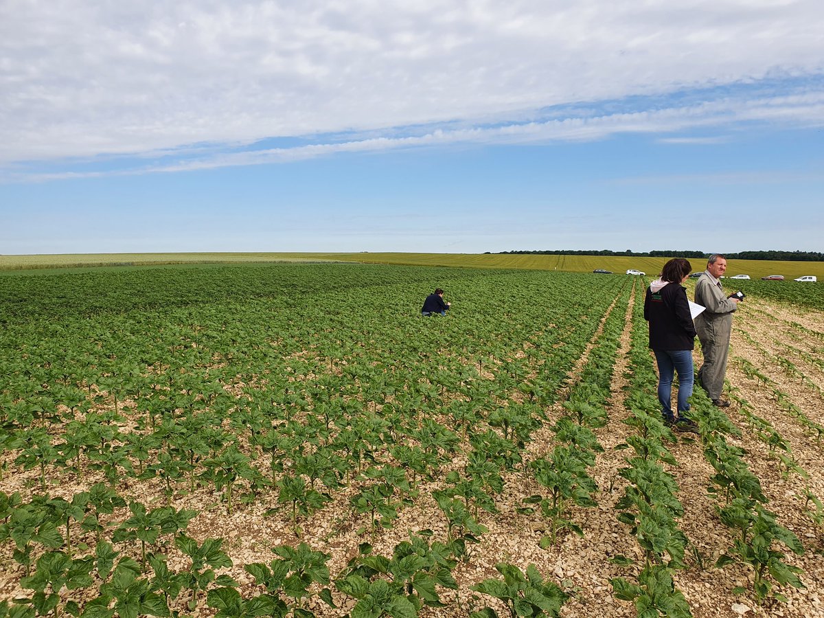 Alban Bigeard - Adama France tweet media