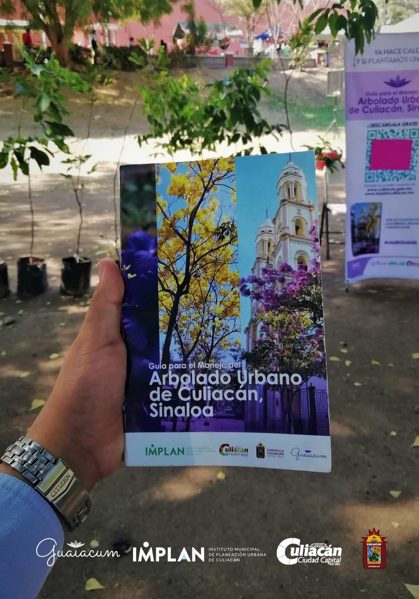El día de hoy se materializa un sueño que inició hace 8 años en un grupo de jóvenes que veían en Culiacán la oportunidad de tener una ciudad más verde.
Que vengan más acciones por una cultura del arbolado.
La flor del Guayacán, comienza a florecer.
- Equipo Guaiacum