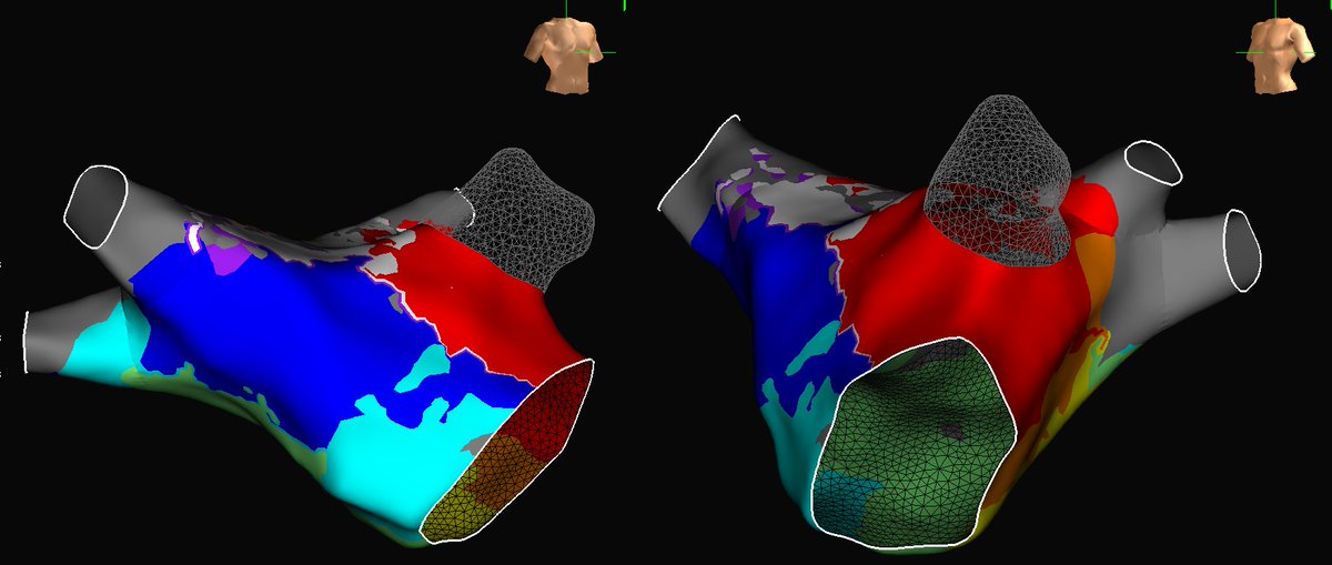 Timothy Stolle tweet media