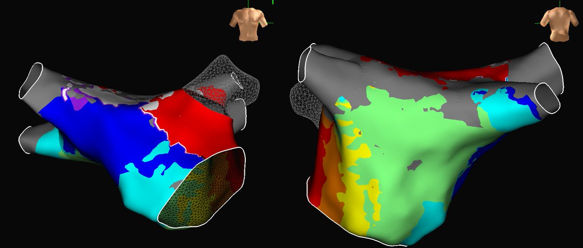 Timothy Stolle tweet media