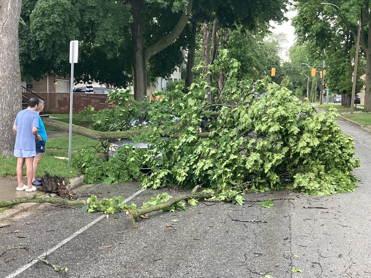 <a href="/StormhunterTWN/">Mark Robinson</a> <a href="/weathernetwork/">The Weather Network</a> Did not detect any hail in my part of Windsor when the severe storm rolled through…just very strong winds &amp; heavy rainfall. This pic from the west side of Windsor.