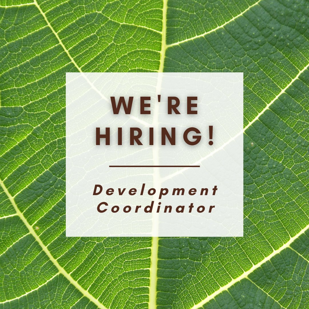 PTNY's tweet photo. Want to have a BIG impact for the #NYSParks, #NYSTrails, and #PublicLands you use and love?
Join our team as the next Development Coordinator!
Check out our Careers page to learn more
https://t.co/pCAggkuzut
#DevelopmentCoordinator #JobSearch #Hiring #Stewardship #Conservation https://t.co/cObhhpOuXg