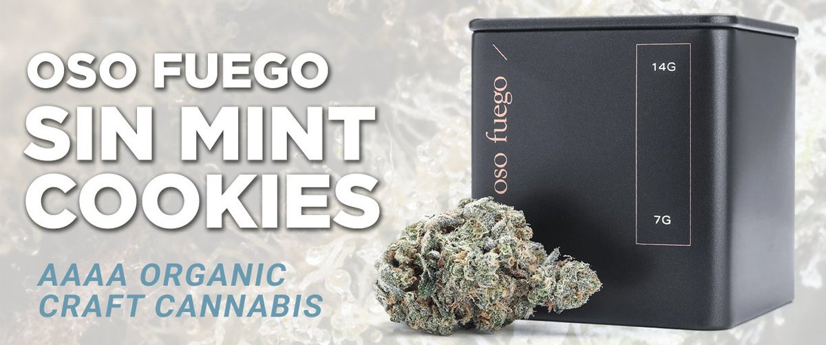 KooBot2's tweet photo. #kootenaybotanicals loves Oso Fuego for consistently treating us with high-quality, organic products. Savour the experience of Organic Sin Mint Cookies this weekend!
Check it out! https://t.co/U19L3fPohj
#organic #cannabis #420delivery https://t.co/2AZdMoz7ar