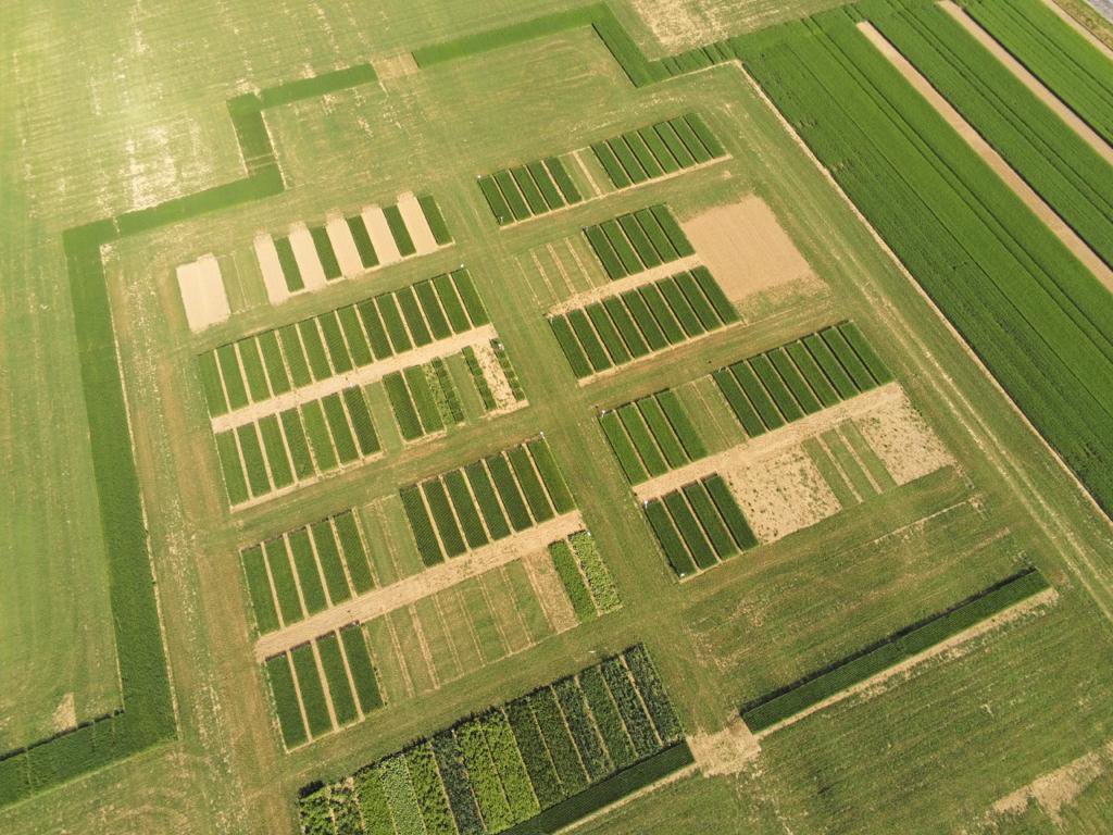 Un site aztèque ou inca? Non la plateforme #Linovation pour le 15-16juin vue du ciel par <a href="/CTLN_Coop/">CTLN - Teillage du Neubourg</a> inscrivez-vous sur lin-ovation.com Premier grand RDV #lin   Les équipes <a href="/Arvalisofficiel/">ARVALIS</a> <a href="/ArvalisHdF/">ARVALIS Hauts-de-France</a> on the top 👍