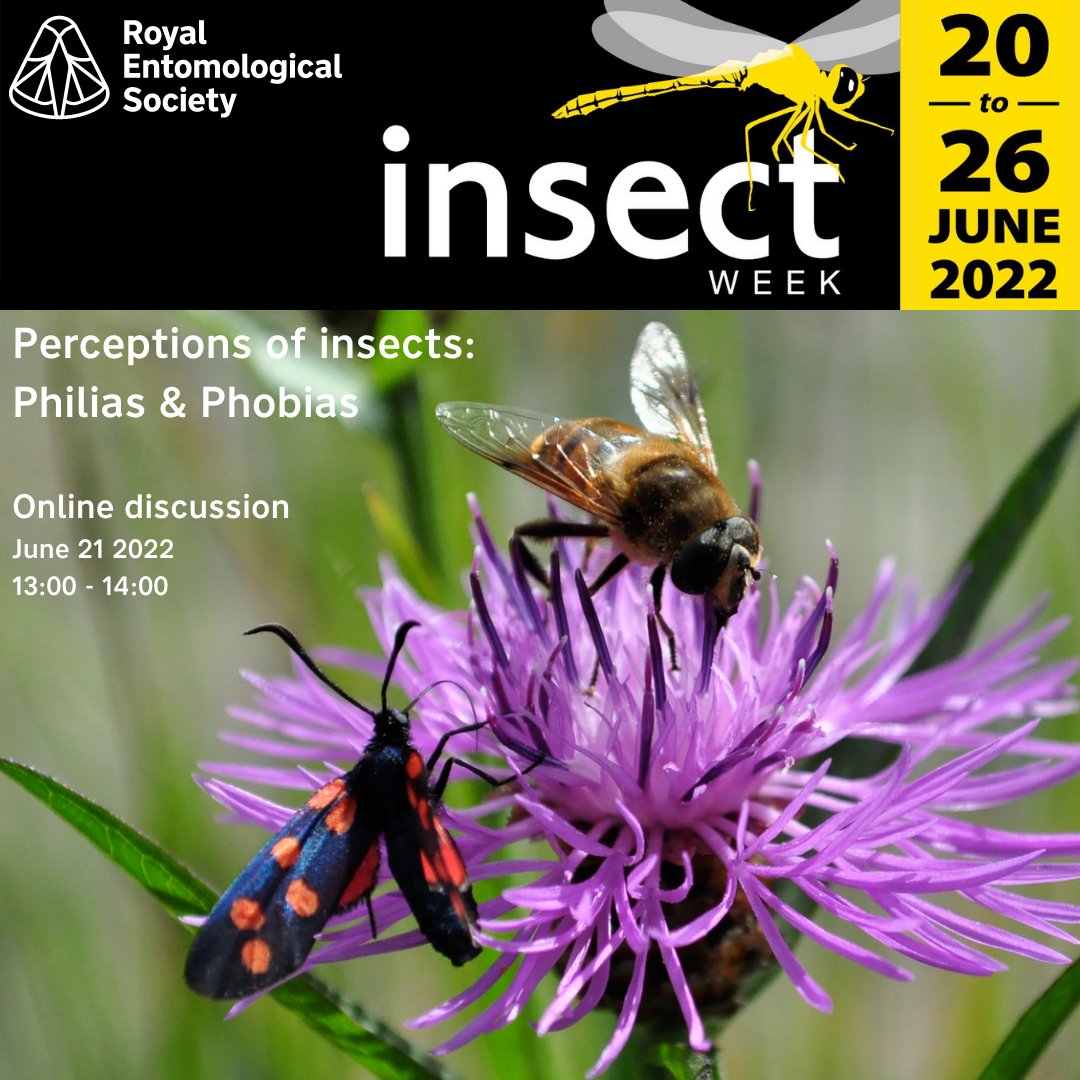 Insect Week (@insectweek) on Twitter photo Register for the #free Philias & Phobias #online panel discussion on Tuesday 21st at 13:00:
royensoc.co.uk/event/percepti…
Visit us at our stand at #BigBangFair in Birmingham Wed-Fri - See you there!
#InsectWeek #InsectWeek22 <a href="/frankendodo/">Dr Franziska Kohlt 🦤</a> <a href="/AdamHartScience/">Prof Adam Hart 🦏</a> <a href="/WaspWoman/">Prof Seirian Sumner</a> <a href="/LiamVIII/">Liam Hathaway</a> Register for the #free Philias & Phobias #online panel discussion on Tuesday 21st at 13:00:
royensoc.co.uk/event/percepti…
Visit us at our stand at #BigBangFair in Birmingham Wed-Fri - See you there!
#InsectWeek #InsectWeek22 <a href="/frankendodo/">Dr Franziska Kohlt 🦤</a> <a href="/AdamHartScience/">Prof Adam Hart 🦏</a> <a href="/WaspWoman/">Prof Seirian Sumner</a> <a href="/LiamVIII/">Liam Hathaway</a>