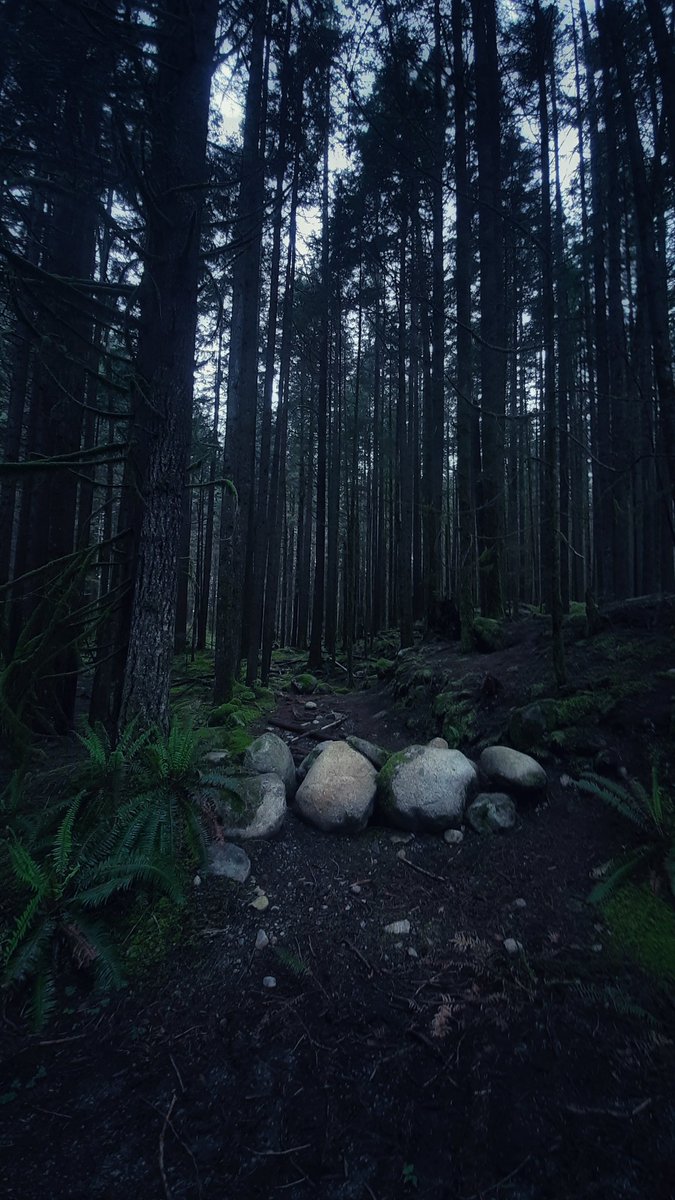 themellowing's tweet photo. waiting for you here https://t.co/ZGbOrSZp3J