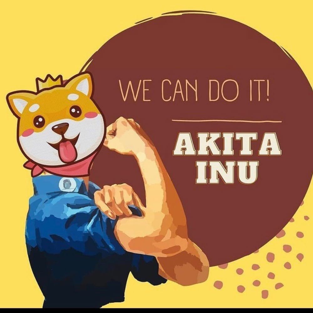 endamgulll's tweet photo. @AKITA_network I believe $AKITA 💪💪💪💪 https://t.co/e02qRlp9tl