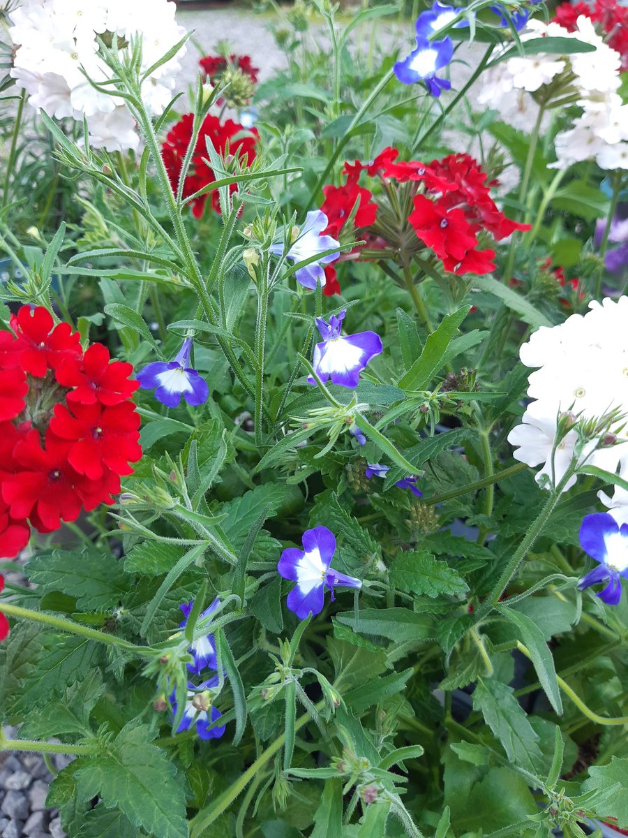 We're OPEN as normal through the Jubilee Bank Holiday!  Normal opening hours.