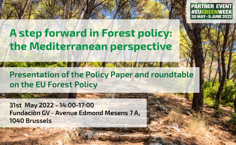 LIFE_RESILIENT's tweet image. 🙌If you couldn´t attend our event in the #EUGreenWeek2022🇪🇺, don´t worry😃. 
👉In this link we share the meeting: 
📺bit.ly/3z7ro7v
👩‍🏫👨‍🏫&quot;A step forward in #Forest🌲🌳 policy: the Mediterranean perspective&quot;