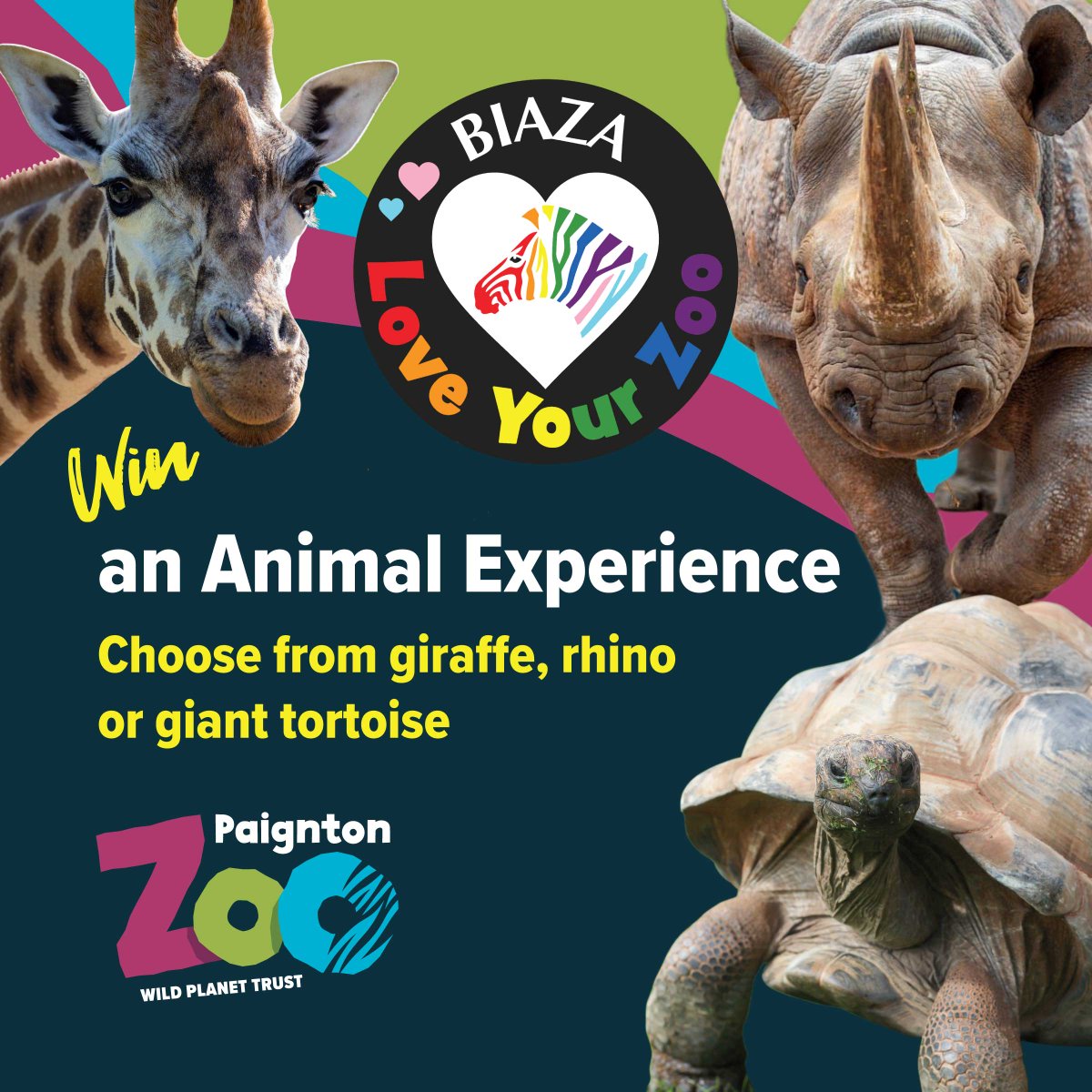 PaigntonZoo's tweet photo. Today is the last day to enter our competition to WIN an animal experience! 🦏
To celebrate @BIAZA #LoveYourZoo week, we're giving away an animal experience to one lucky Paignton Zoo supporter! 💕
Head to our website to enter >> https://t.co/eEzi0KHb4h 🦒
#loveyourzooweek #lyz https://t.co/18ptC3vmen