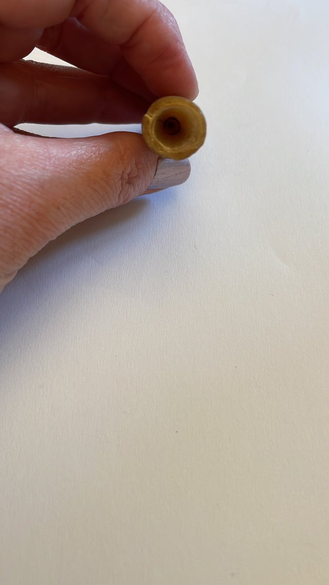 Found this on the beach. Does anyone know what it could be?