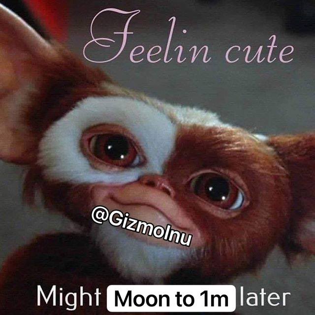 JlowHew's tweet photo. @Yourpop8 super gremlin 
   $GIZMO
#BSC token that just launched. Caesar in voice chat

https://t.co/jNHATJ7Bbj…

https://t.co/IBkHv2gJ4Z

#GizmoInu   #gizmoonshot #1goonrich  #messiah #BSCGem #100xgem #memecoin #memes #meme #nft #BSCGem #bscgemalert #doge #shib #90skids #oldschoolcoo https://t.co/wXBn2GN9GG