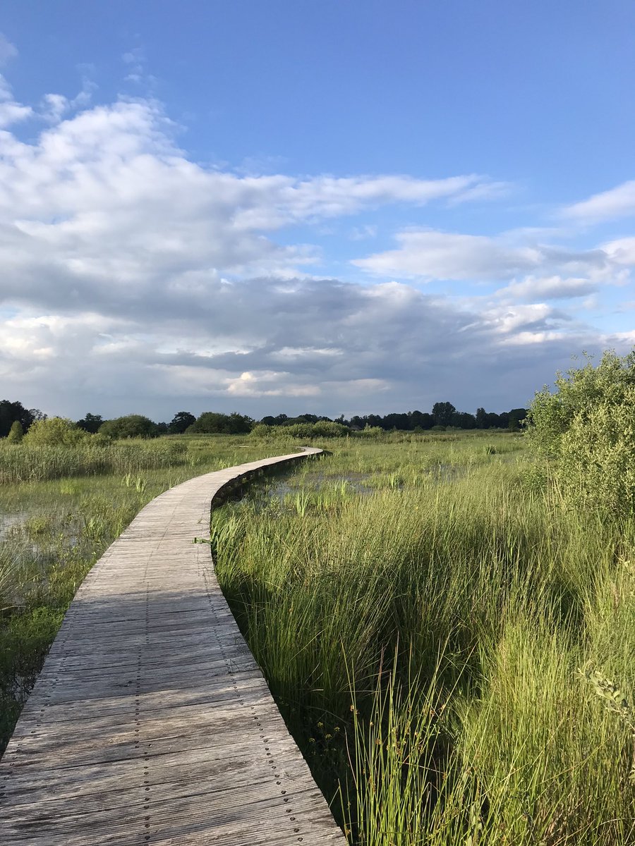 Heerlijke avondwandeling op de Empese en Tondeseheide om de eerste dag van de Masterclass Kaospilot te laten landen.