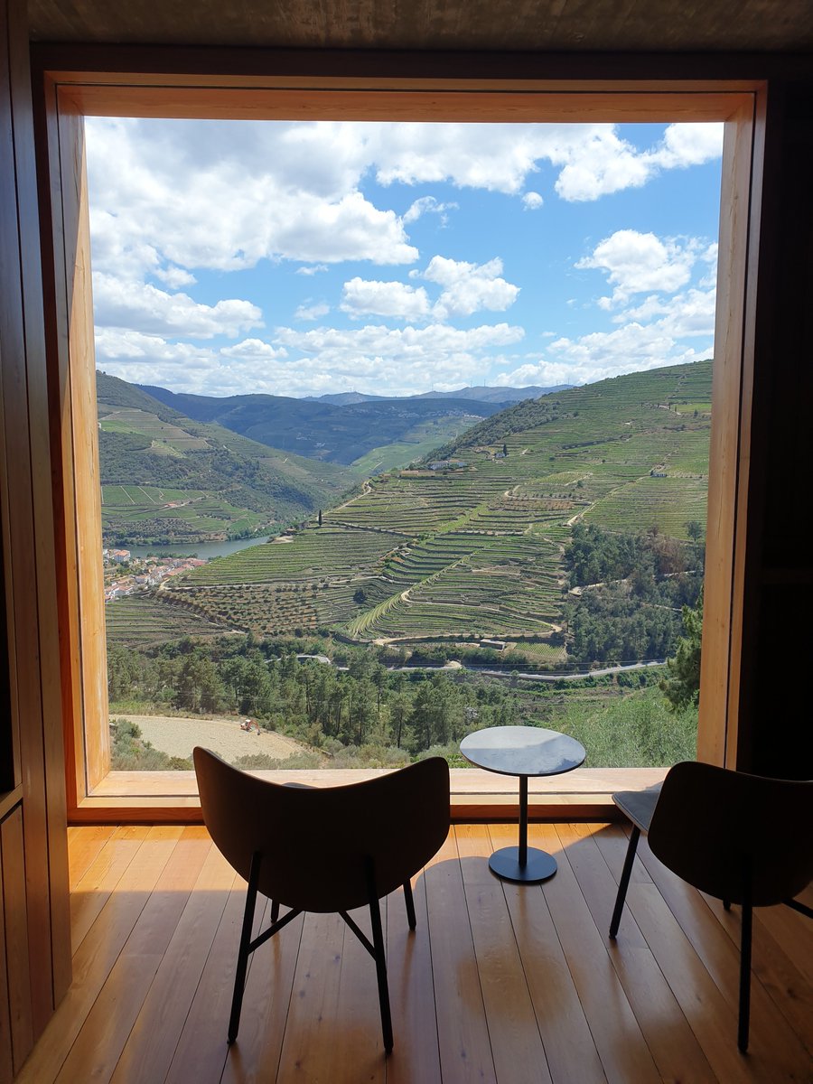 Hannah Pinnock 🇺🇦 🇵🇸 tweet media