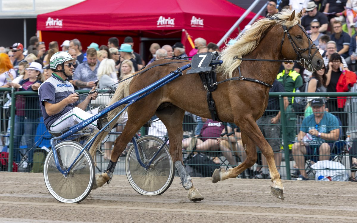 pohjoinenravia's tweet photo. Seinäjoella ravataan huomenna muun muassa Ilkka-Pohjalainen ajon finaalit.
Ennakko: https://t.co/C80imOR9jC

📷 Teemu Kangas

#ravit #seinäjoki https://t.co/72RoGDMTpU