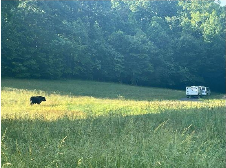 StaffordLocal tweet media