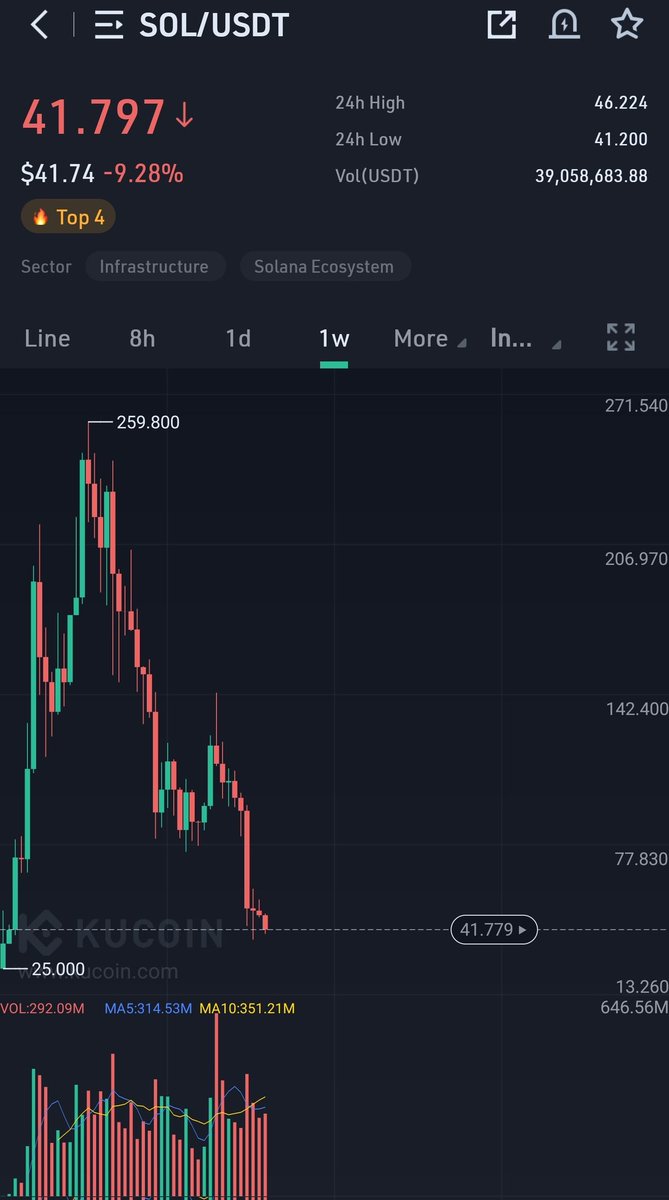 WIZZ🥷 ( beware scammers ) tweet media