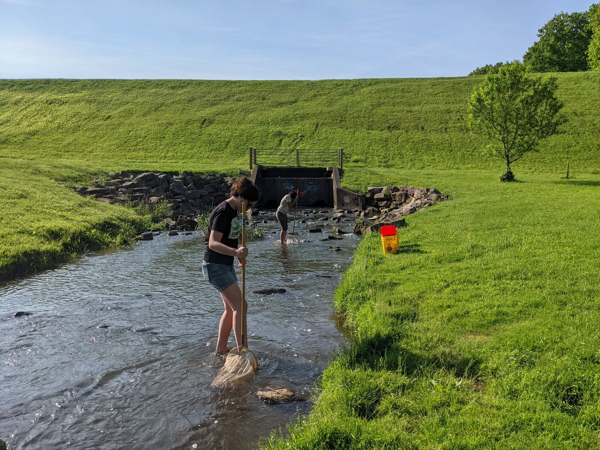 Creek Connections tweet media