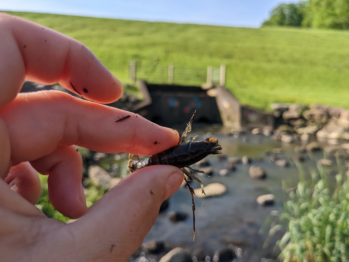 Creek Connections tweet media