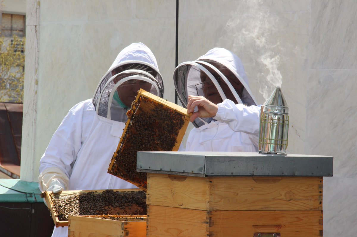 FranceenSerbie's tweet photo. #GreenWeek2022 #UE u Nišu 🌿🌍. Izazovi urbanog pčelarstva 🐝🍯u @EUInfoNis, sa ambasadorom 🇫🇷 i Stankom Rajićem, predsednikom Beogradskog udruženja pčelara. Povratne informacije o košnicama @FranceenSerbie i o našem ukusnom medu. https://t.co/MfQUAlu9in