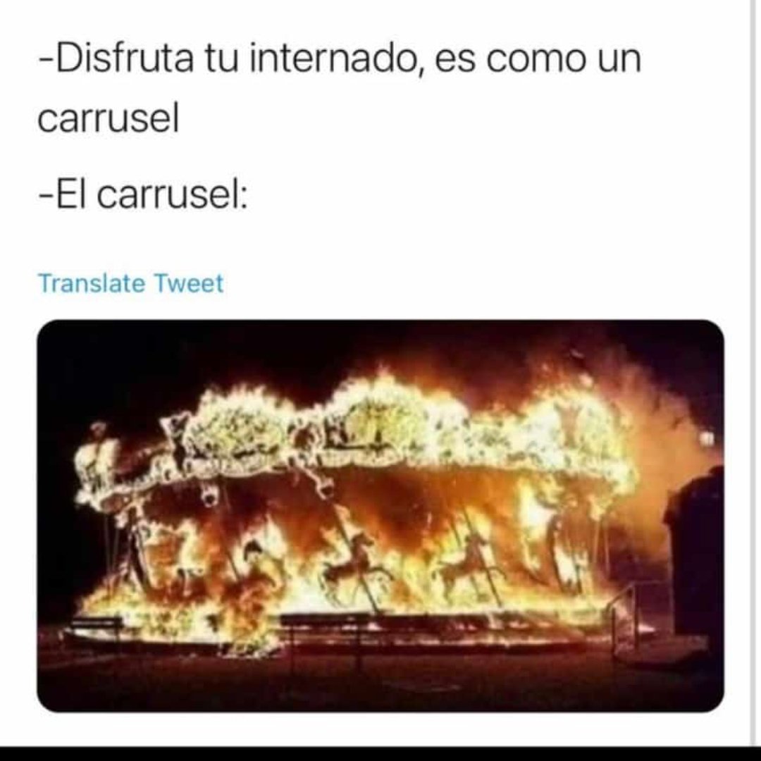 maricelis211's tweet photo. Yo nunca me había arrepentido tanto de estudiar medicina. 🤡 https://t.co/Dxi9Cbgogx