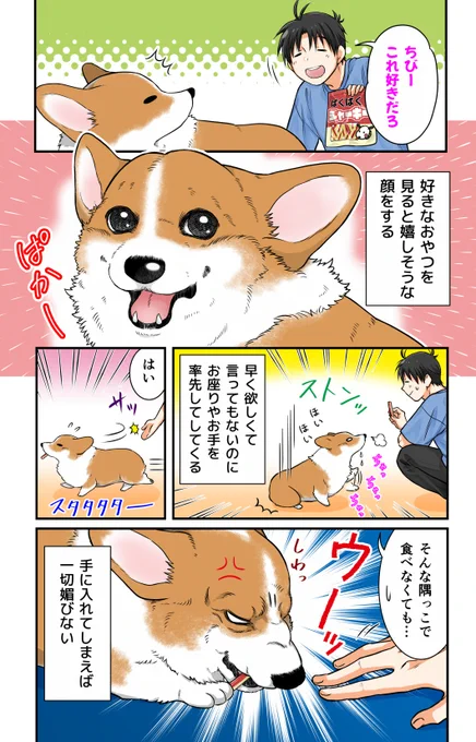 わかりやすいうちの犬 