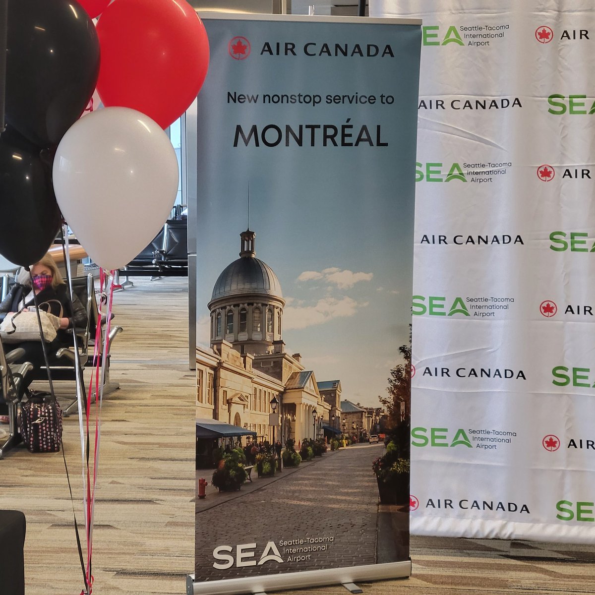 Maddie Morris tweet media