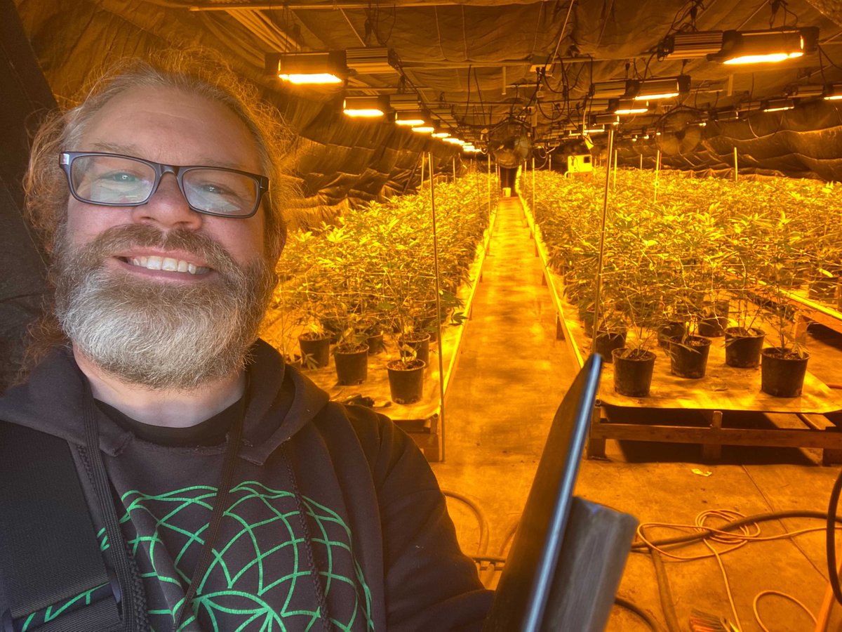 BigTreeUSA's tweet photo. Happy Wednesday our Senior Grader, Daniel and all of us at Big Tree!
.
.
.
#bigtreegrading #cannabis #cannabusiness #cannabisstandards #cannabisindustry #cannabisculture #cannabiscommunity #cannabissociety #i502 #cannabisgrading https://t.co/t2StgM5yTi