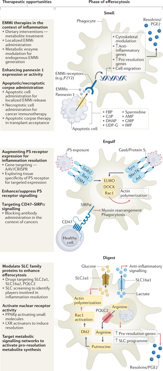 Nature Reviews Drug Discovery tweet media