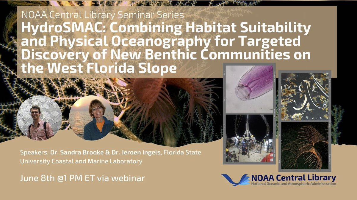 FSUMarineLab's tweet photo. Dr. Sandra Brooke and Dr. @jeroeningels are giving a @NOAA Ocean Exploration seminar June 8th at 1pm EST on the #Hydrosmac project. Join to learn about #deepsea #corals, #meiofauna, models and more from the West FL slope! @meiolab Register here:
https://t.co/7KQLN3a2Me https://t.co/UqUxh4ljb2