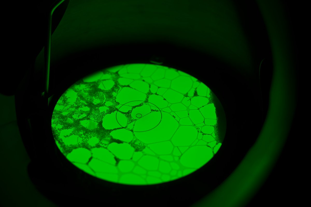 UoN nmRC tweet media