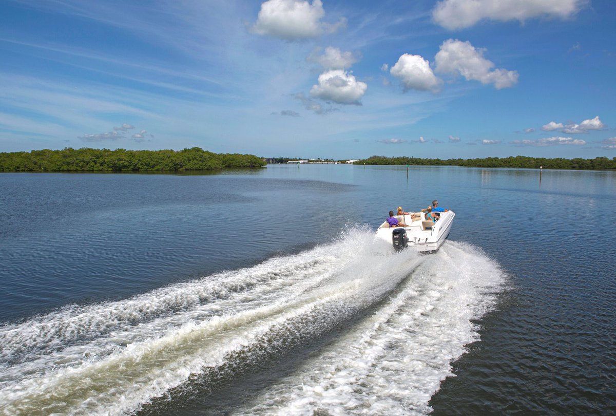 Wavve Boating tweet media