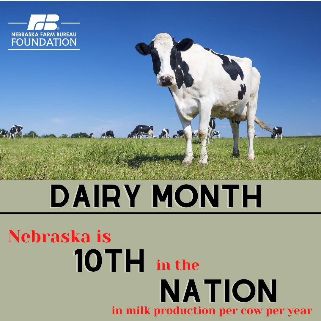 NebraskaAITC's tweet photo. June is National Dairy Month! Did you know Nebraska ranks 10th in the nation in milk production per cow per year? #DairyMonth https://t.co/S3p6NJMf2e