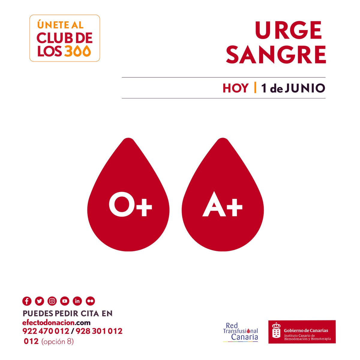 ichhCanarias's tweet photo. 🔴🔴🔴 Atención #Canarias Urge sangre de los grupos A+ y O+ para atender la demanda hospitalaria 

👉 Si puedes #DonaSangre haz RT y comparte este llamamiento con tus contactos por #WhatsApp 

📍 https://t.co/cfrtQpBvhs 
🏥 https://t.co/m4Lo5nFRhL https://t.co/Zy94xezKtv