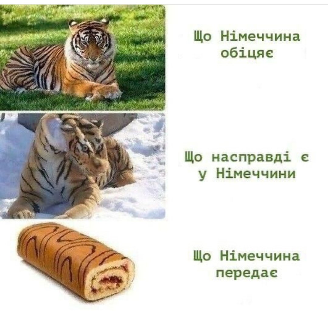 Тигр рулет Мем