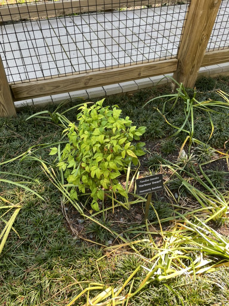 Melanie Johnson tweet media