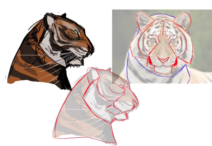 quick study before breakfast 